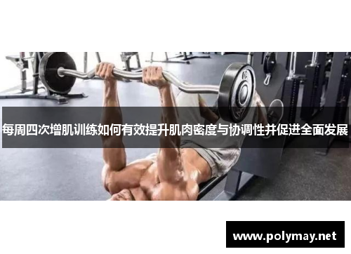 每周四次增肌训练如何有效提升肌肉密度与协调性并促进全面发展