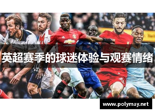 英超赛季的球迷体验与观赛情绪