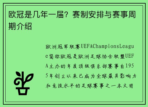 欧冠是几年一届？赛制安排与赛事周期介绍